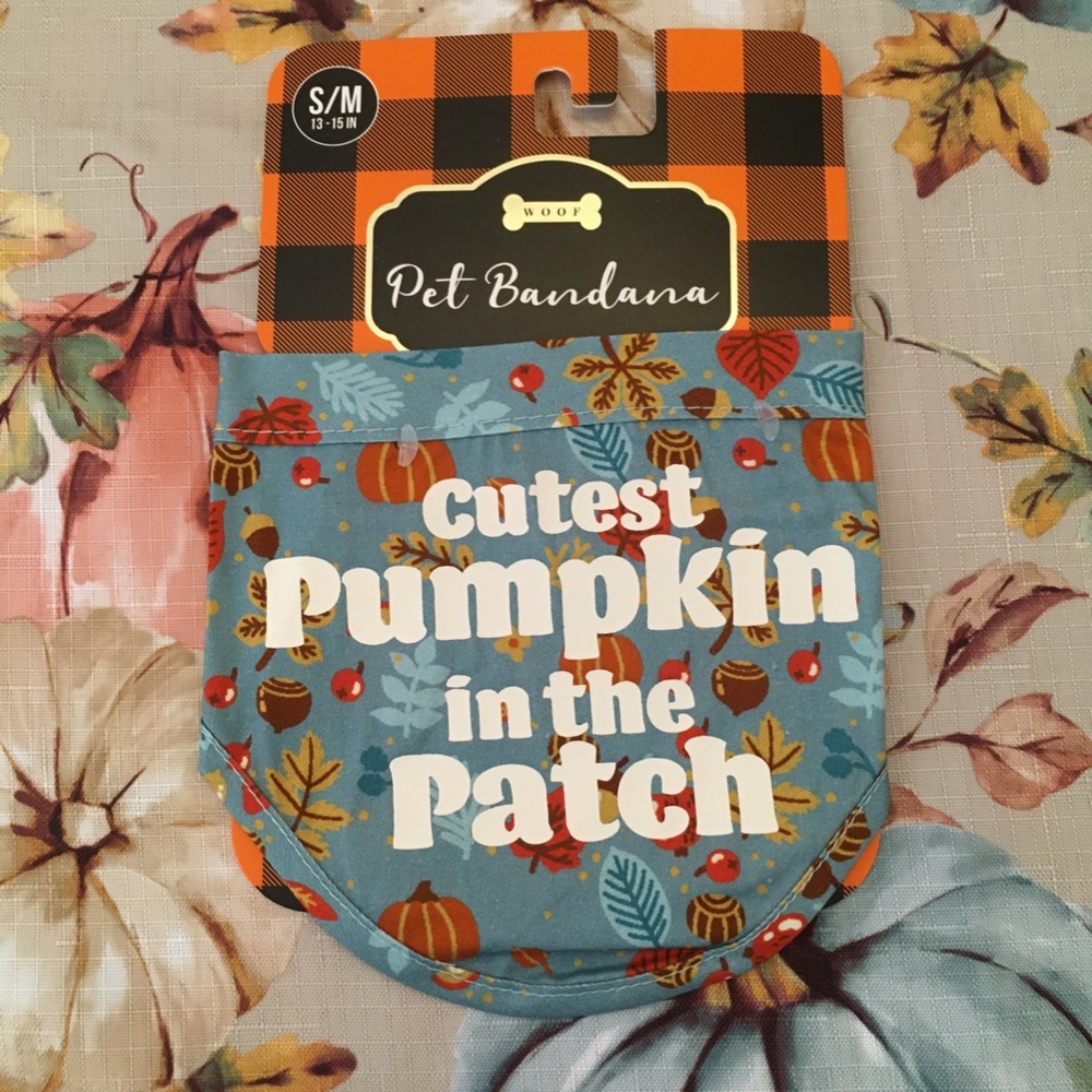 NWT! Cute Fall Dog Scarf